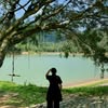 Mai Nguyễn