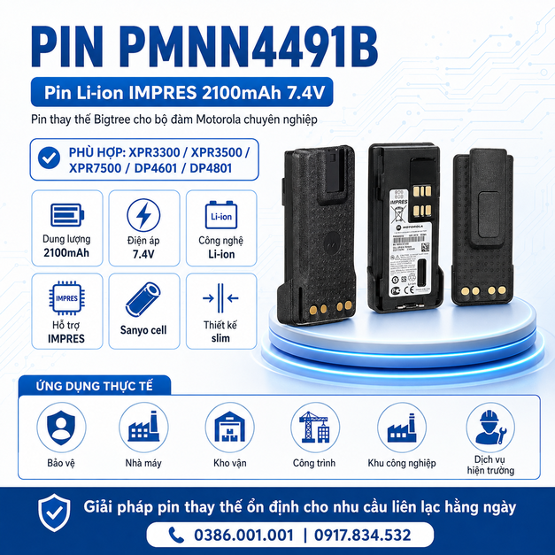 Pin PMNN4491B