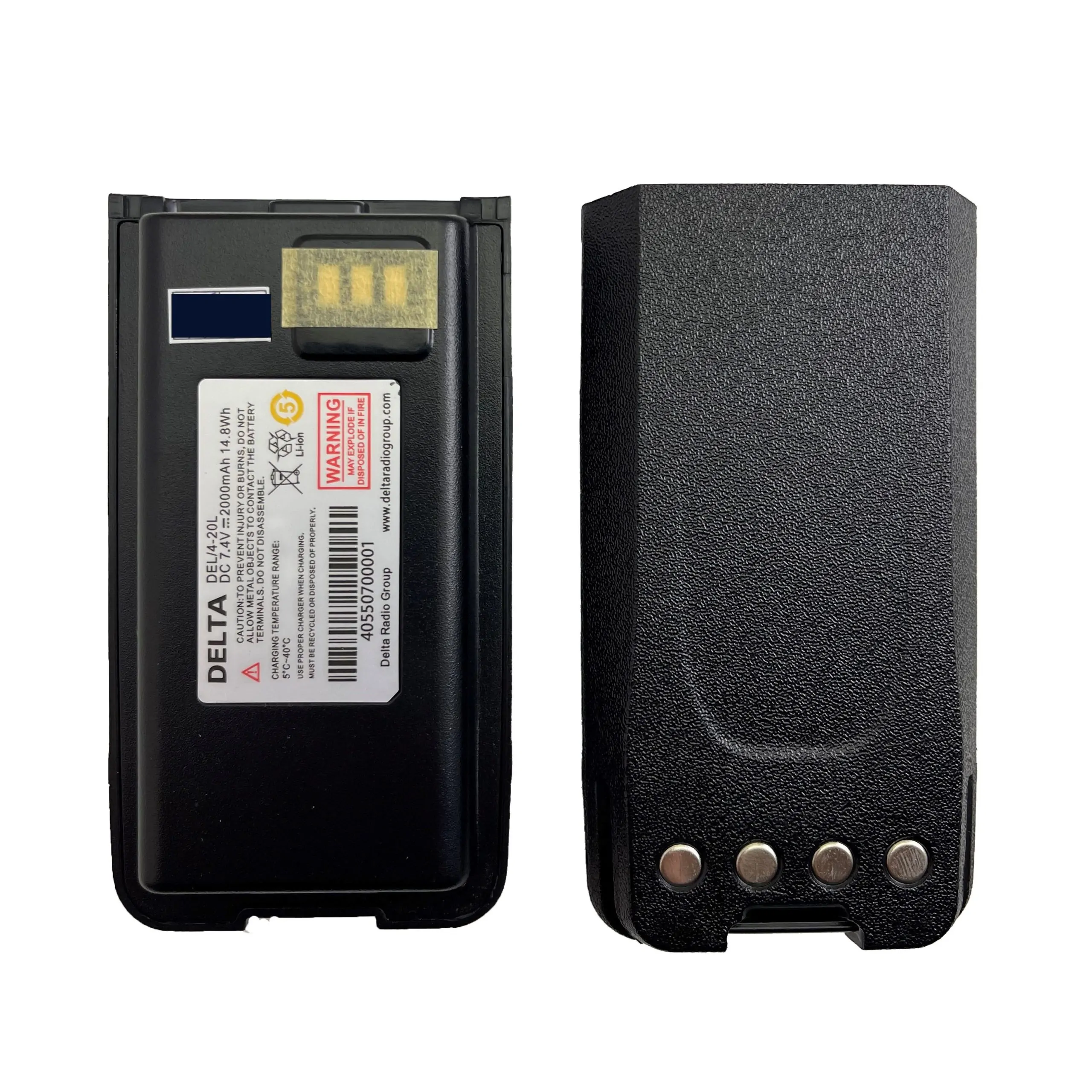 Pin Delta DS4 Series